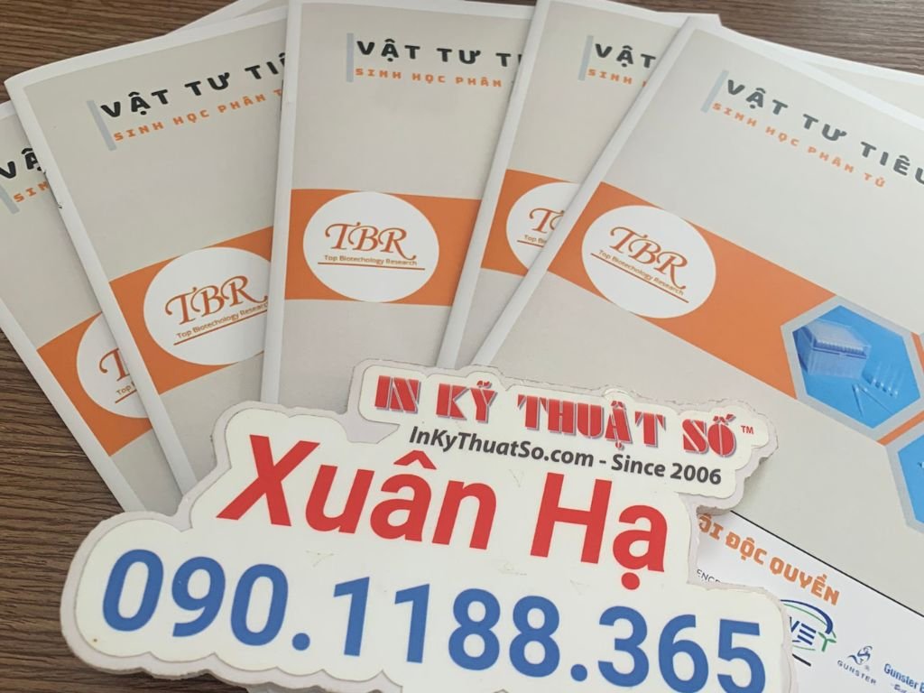 In catalogue uy tín tại quận Phú Nhuận với Công ty In Kỹ Thuật Số