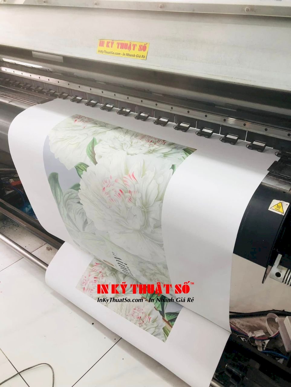 xưởng in tranh canvas hoa mẫu đơn