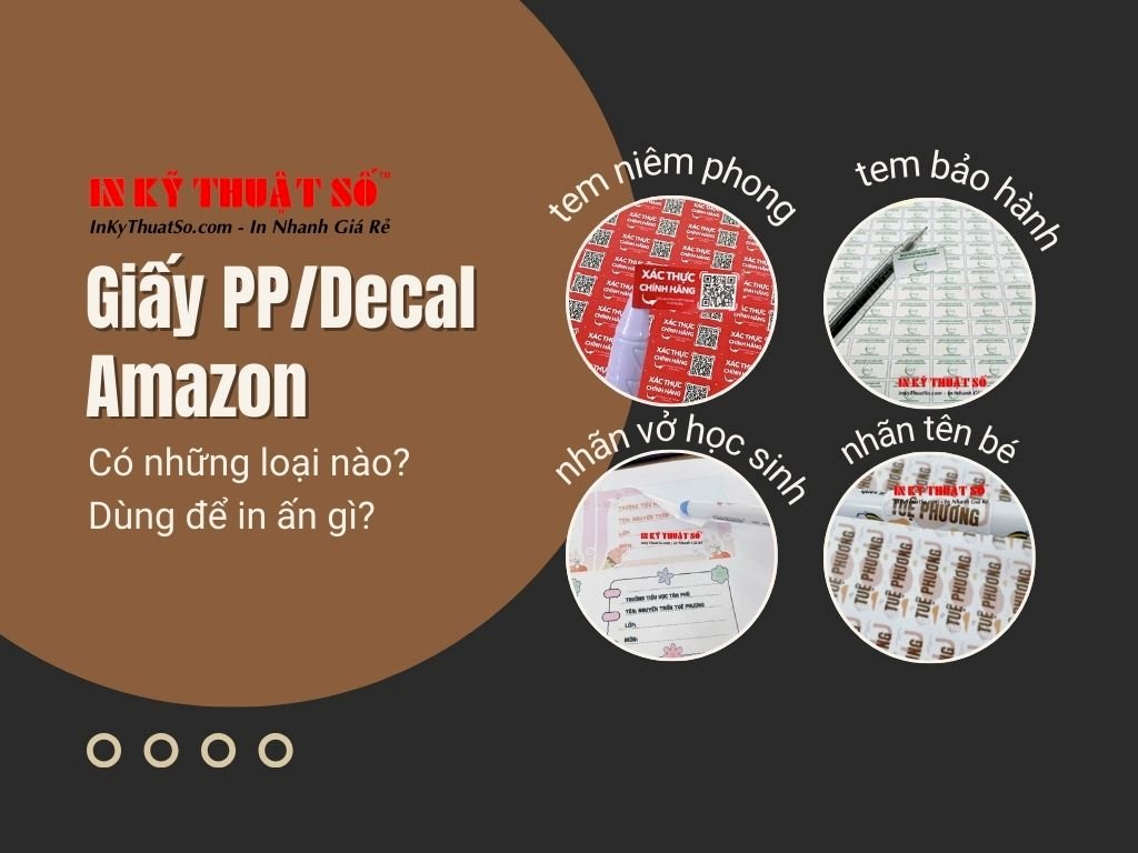 Giấy PP Amazon là gì? Có những loại nào? Dùng để in ấn gì?