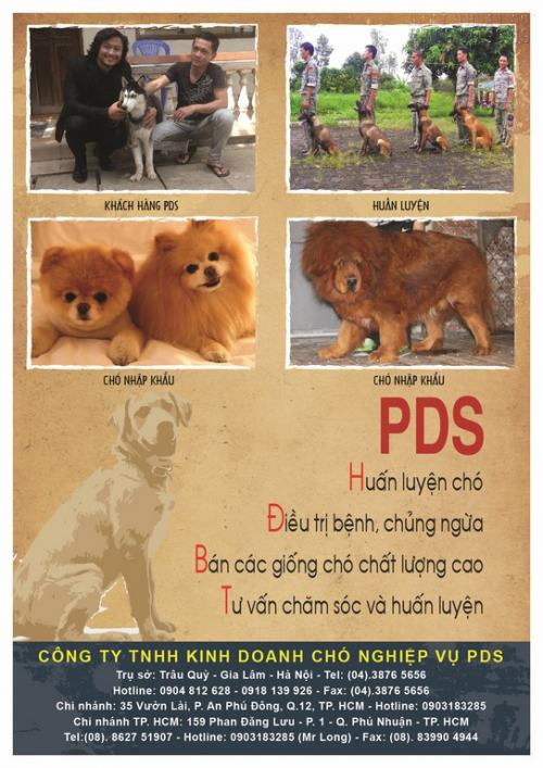 In ấn Tờ rơi TPHCM