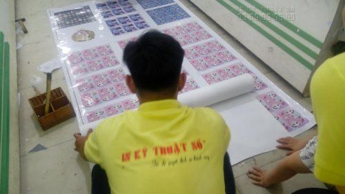 In Decal cuộn giá rẻ, in các loại Decal đẹp, chất lượng cao