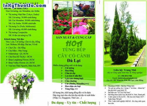 In Brochure bằng giấy couche chất lượng cao cho công ty Đà Lạt xứ hoa