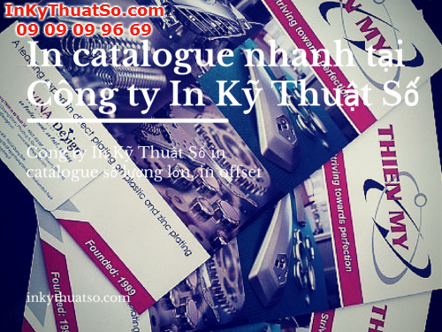 In catalogue nhanh, lấy ngay chất lượng giá tốt tại TPHCM