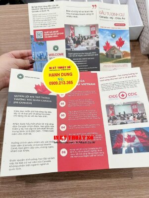 In brochure nhanh cán mờ, cấn 2 đường, brochure tư vấn định cư Canada - INKTS2877