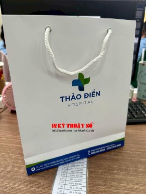 In túi giấy bệnh viện quốc tế 25cm x 30cm x 8cm in Offset mặt ngoài cán mờ 1 mặt - INKTS3287