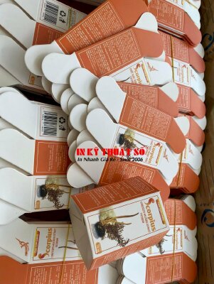 In hộp giấy hình lục giác, gia công cấn bế theo file, hộp giấy đựng hộp thực phẩm bổ sung sức khỏe - INKTS1949