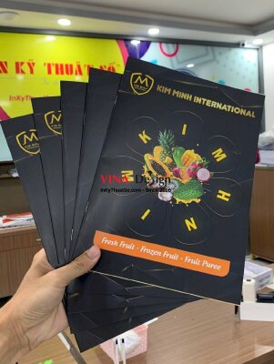In catalogue giới thiệu sản phẩm, dịch vụ - INKTS288