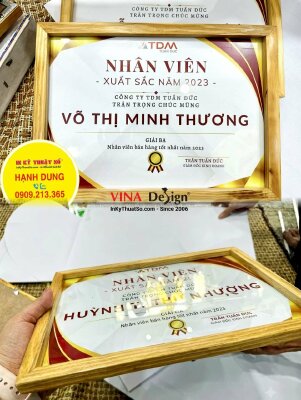 In bằng khen nhân viên bán hàng tốt nhất năm, giấy khen lồng sẵn khung gỗ mặt kính - INKTS1148