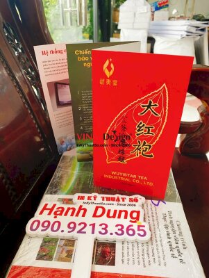 In brochure giới thiệu công ty trà - INKTS494