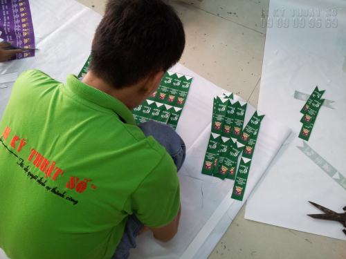 In đuôi nheo cài áo