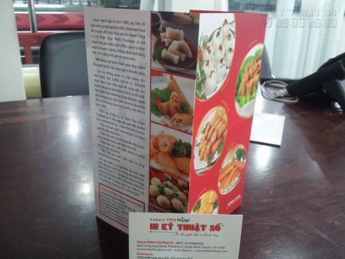 In flyer giới thiệu sản phẩm - In Kỹ Thuật Số Since 2006