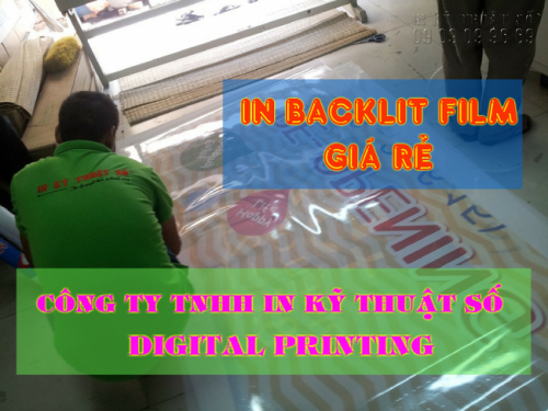 In backlit film giá rẻ tại Công ty TNHH In Kỹ Thuật Số - Digital Printing - Ảnh: 4