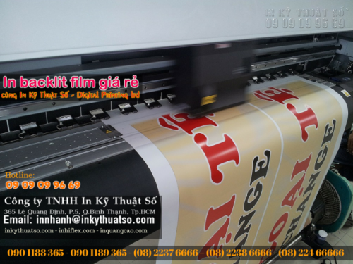 In backlit film giá rẻ tại HCM - Ảnh: 2