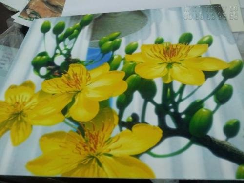 In tranh canvas mực nước hình ảnh hoa mai vàng tại In Kỹ Thuật Số - Ảnh: 1a