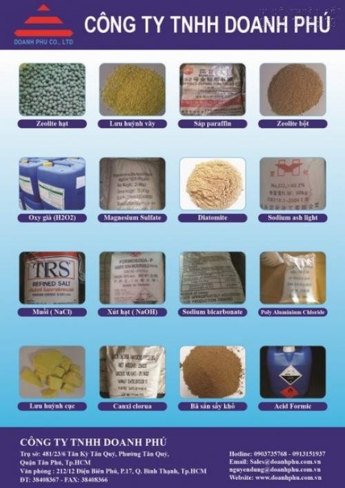 Tờ rơi quảng cáo cho Công ty TNHH Doanh Phú về sản phẩm các loại hạt nông nghiệp Tờ rơi quảng cáo cho Công ty TNHH Doanh Phú về sản phẩm các loại hạt nông nghiệp