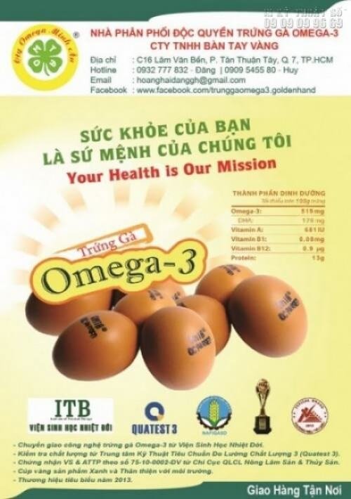 Tờ rơi khổ A5 với nội dung quảng cáo trứng gà Omega - 3 đẹp