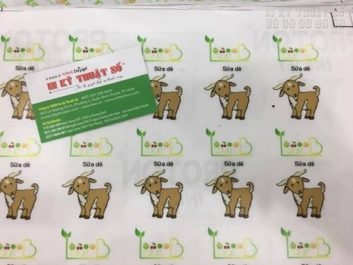 Đơn hàng in tem decal sữa cán màng bế thành phẩm đẹp, hình ảnh sắc nét, nổi bật tại công ty In Kỹ Thuật Số