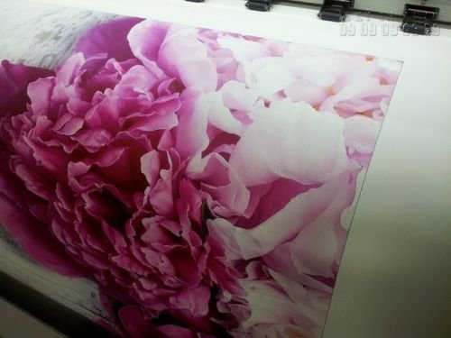 In tranh canvas làm trang trang trí phòng khách tại In Kỹ Thuật Số In tranh canvas làm trang trang trí phòng khách tại In Kỹ Thuật Số