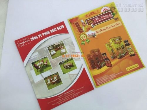 In catalogue nhanh
