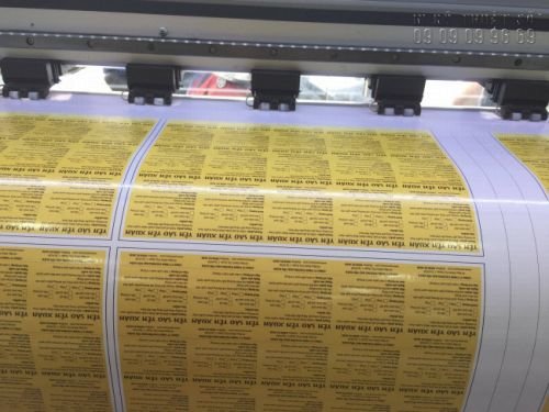 Máy in kỹ thuất số khổ lớn chạy đơn hàng in tem nhãn nhanh chóng - In Kỹ Thuật Số