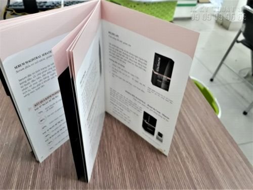 thiết kế catalogue TPHCM 5