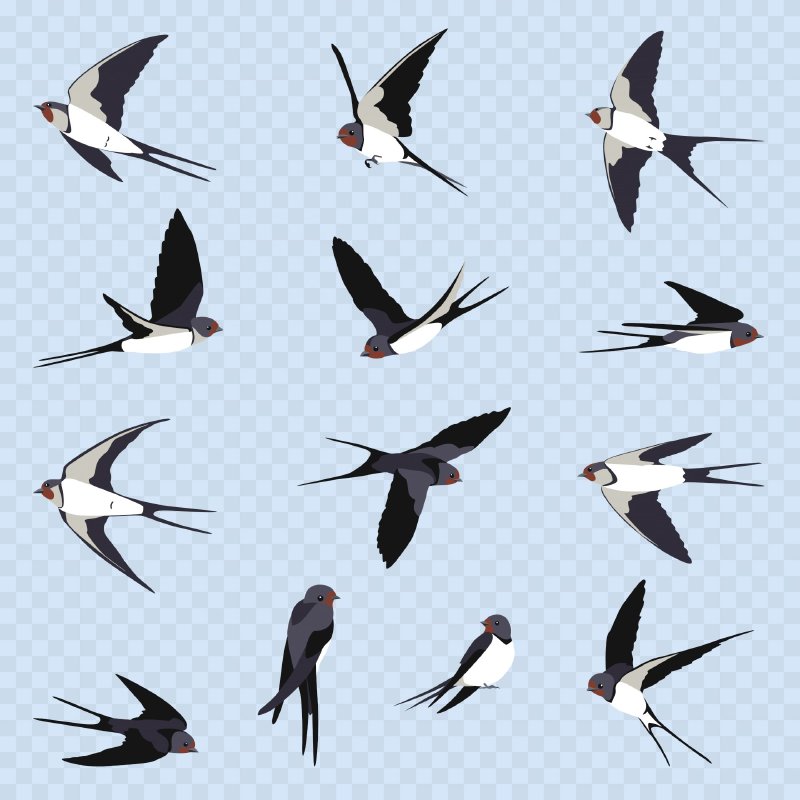 hình ảnh vector chim én - Inkythuatso