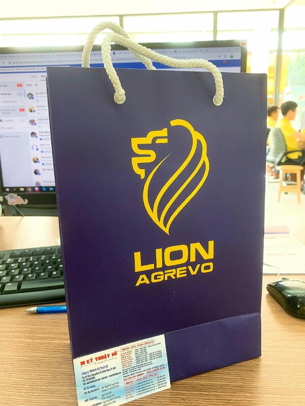 In túi giấy số lượng ít TPHCM - In Kỹ Thuật Số Since 2006  - Ảnh: 2