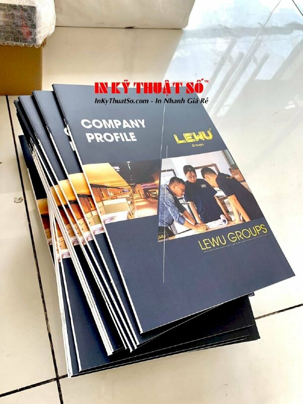 Thiết kế Hồ sơ năng lực bản mềm cho doanh nghiệp nhanh dễ dàng - Ảnh: 1