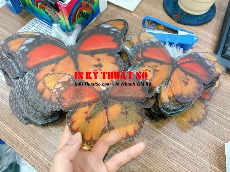 In trên nhựa mỏng - bế hình bướm theo yêu cầu TPHCM - Ảnh: 5