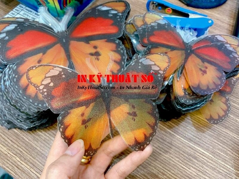 In trên nhựa mỏng - bế hình bướm theo yêu cầu TPHCM - Ảnh: 4