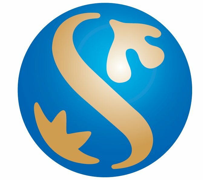 hình ảnh logo shinhan finance - Inkythuatso