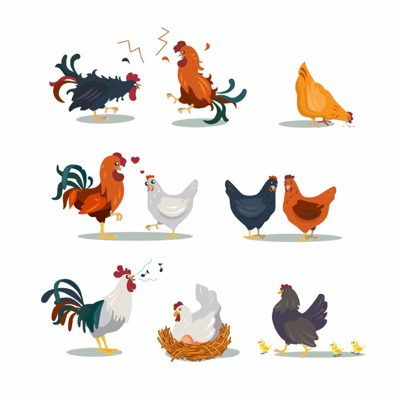 Hình tượng con gà trong văn hóa Đông Tây Báo Dân trí