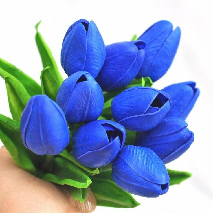 Ảnh bó hoa tulip xanh tươi tắn