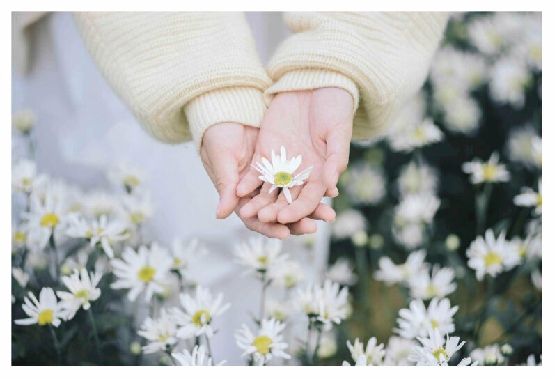Tay cầm hoa buồn: Để tạm biệt những giây phút buồn, bạn có thể lấy tay cầm hoa để giúp cho tâm trạng của mình được thư giãn và tươi mới. Những bông hoa sáng rực cùng những cành lá mềm mại sẽ được bày trí một cách tinh tế và hài hòa, giúp bạn thư giãn và tìm lại sự cân bằng. Nhấp vào hình ảnh để tìm hiểu thêm về cách tạo ra một tay cầm hoa buồn thật đẹp và ý nghĩa!