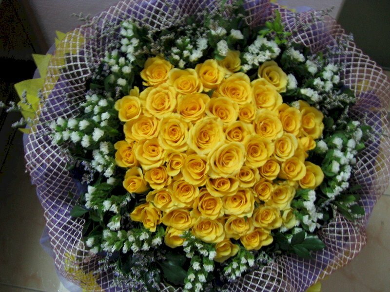 Hoa hồng vàng tươi sáng sẽ khiến bất kỳ ai cũng say mê vì vẻ đẹp và sự quyến rũ của chúng. Hãy cùng chiêm ngưỡng hình ảnh về những bông hoa hồng vàng đầy cuốn hút trên trang web của chúng tôi.