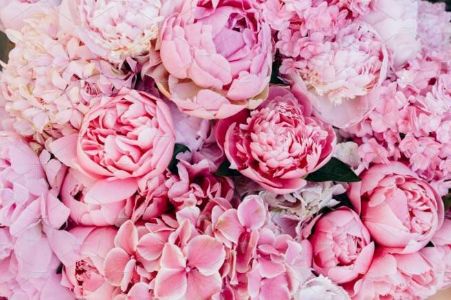 Top 50 hình nền hoa khuôn mẫu đơn siêu rất đẹp dành riêng cho những người yêu thương hoa