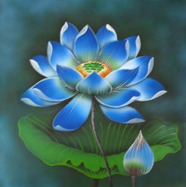 Nếu bạn yêu thích hoa sen xanh, chắc chắn sẽ không muốn bỏ qua ảnh hoa sen xanh tuyệt đẹp này. Hãy cùng khám phá màu xanh tươi sáng và hình dáng độc đáo của loài hoa này qua hình ảnh.