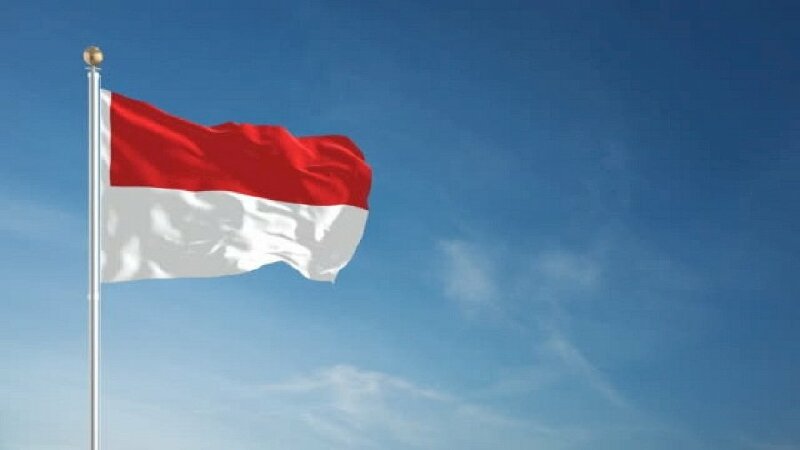 Background Lá Cờ Indonesia: Background Lá Cờ Indonesia với hai màu đỏ và trắng là một sự lựa chọn tuyệt vời cho việc trang trí website hoặc bản thiết kế tài liệu. Hãy nhấp vào hình ảnh để tải về và sử dụng miễn phí.