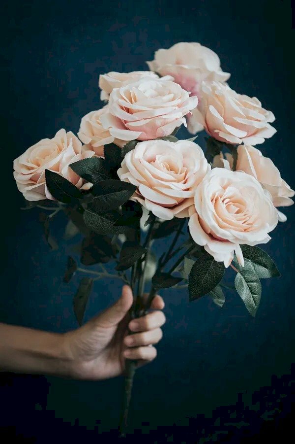 Tay cầm hoa hồng đẹp là món quà tuyệt vời cho những người bạn thân yêu của bạn. Hãy chiêm ngưỡng những tác phẩm đầy tình yêu được tạo nên từ những cành hoa hồng đỏ rực và đầy sức sống. Chắc chắn bạn sẽ cảm thấy hạnh phúc và vô cùng đẹp trai khi giơ tay cầm hoa này.
