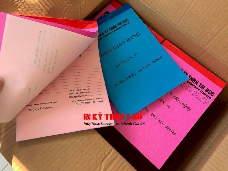 In biên nhận (Receipt) - Phiếu giao hàng (Manual Delivery Order) - Ảnh: 2