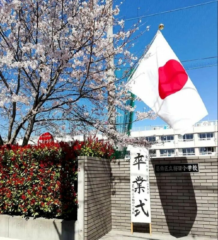 Hình ảnh cờ Nhật Bản năm 2024 từng bước trở thành biểu tượng của sự đoàn kết và sức mạnh của quốc gia Đông Á này. Với màu đỏ rực rỡ và hình chữ nhật trắng giữa, cờ Nhật Bản không chỉ là sự kết hợp của hai màu sắc, mà còn đại diện cho cả linh hồn và tinh thần của dân tộc. Hãy cùng xem ảnh cờ Nhật Bản để cảm nhận sức hút đầy mê hoặc của nó.