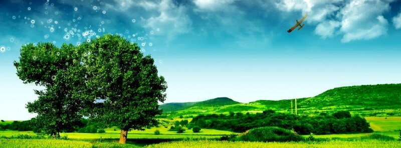 Ảnh bìa đồng cỏ nền màu xanh lá cây đẹp ngất ngây