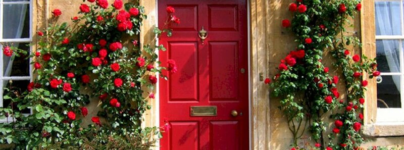 Ảnh bìa bụi hoa hồng đỏ cạnh cửa