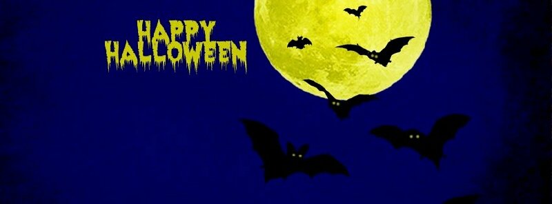 Ảnh bìa facebook halloween dơi bay đầy trời đêm