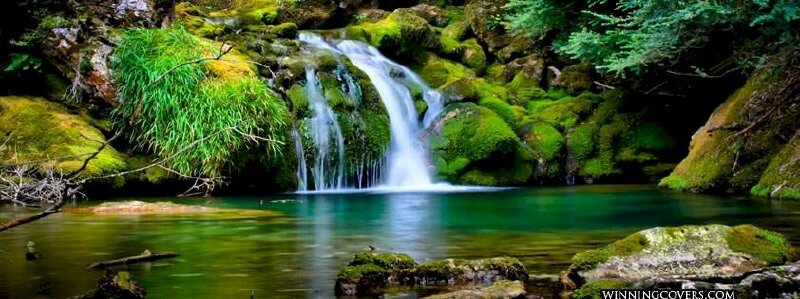 Màu xanh lá cây: Khám phá sự sống động của màu xanh lá cây trong bức tranh thiên nhiên tuyệt đẹp. Sắc xanh này mang đến cho bạn cảm giác thư thái, thanh bình và tinh tế. Khi quan sát bức ảnh, bạn sẽ cảm nhận được một nơi yên bình, tĩnh lặng đầy tràn sức sống.