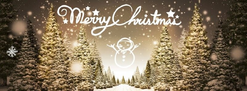 Mùa Giáng sinh đến rồi, hãy bỏ túi những bức ảnh về Giáng sinh cực đẹp để trang trí cho ảnh bìa Facebook của bạn. Với những bức ảnh tuyệt vời về Noel, bạn sẽ cảm nhận được không khí lễ hội cùng những niềm vui và hạnh phúc.