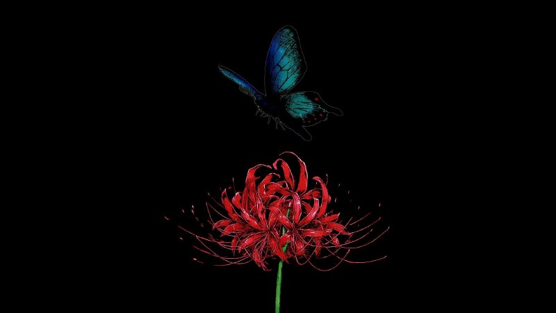 Ảnh bìa bướm đậu lên hoa bỉ ngạn 3D