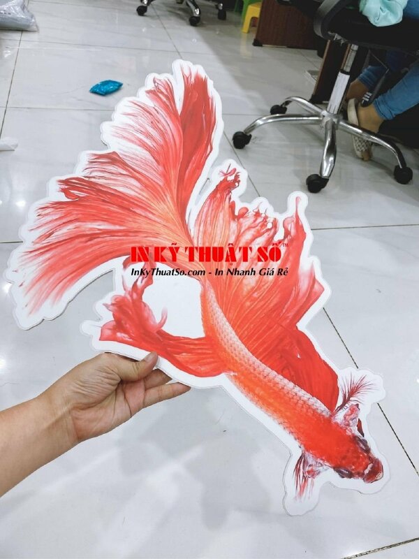 In mô hình cá lia thia PP cán format - In Kỹ Thuật Số Since 2006