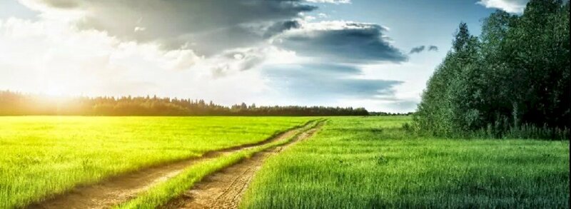 Ảnh bìa con dường mòn nền màu xanh lá cây đẹp ngất ngây