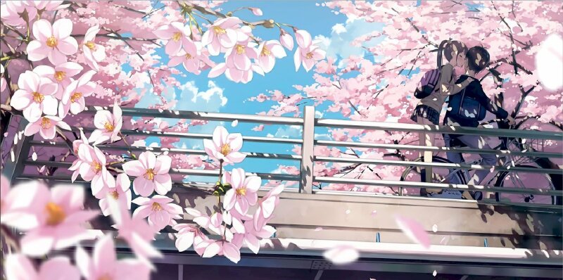 Hình ảnh hoa Anh Đào anime đẹp lãng mạn dễ thương nhất